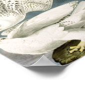 オードボンホワイトギャルファルコンホワイトバード ポスター (角)