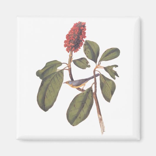 オードボンボナパルテフライキャッチャー松鳥とマグノリア マグネット (正面)