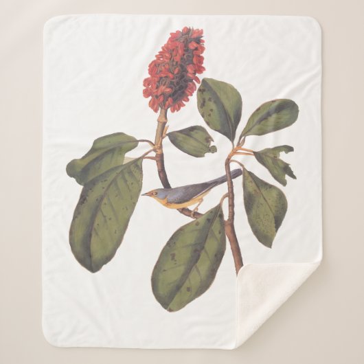 オードボンボナパルテフライキャッチャー シェルパブランケット (正面)