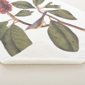 オードボンボナパルテフライキャッチャー シェルパブランケット (3/4)