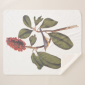 オードボンボナパルテフライキャッチャー シェルパブランケット (正面(横))