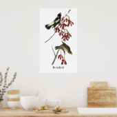 オードボンボリンク ポスター (キッチン)