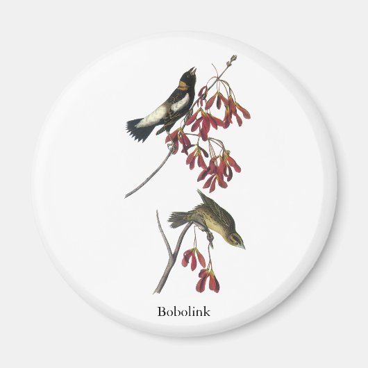 オードボンボリンク マグネット (正面)