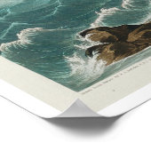 オードボンポスターによるヒキ捕手 ポスター (角)