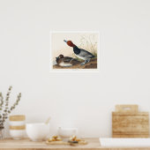 オードボンポスターによる赤毛鴨 ポスター (キッチン)