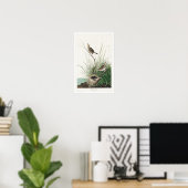 オードボンポスターによる鋭い尾のフィンチ ポスター (ホームオフィス)