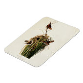 オードボンマーシュウォレンバードアート マグネット (左側)