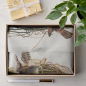 オードボンマーシュウォレンバードアート 薄葉紙 (ギフト)