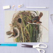 オードボンマーシュウォレンバードアート 薄葉紙 (クラフト)