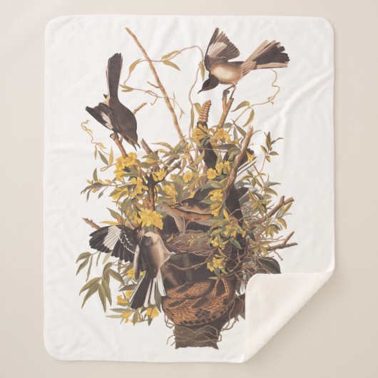 オードボンモッキンバードファミリー対スネーク シェルパブランケット (正面)