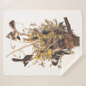 オードボンモッキンバードファミリー対スネーク シェルパブランケット (正面(横))