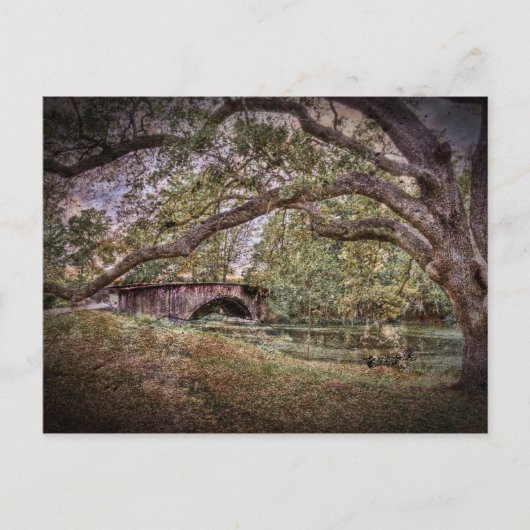 オードボンラグーン ポストカード (正面)