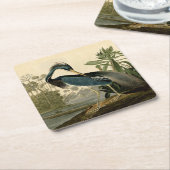 オードボンルイジアナヘロンバーズアメリカアート スクエアペーパーコースター (アングル)