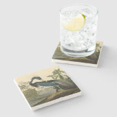 オードボンルイジアナヘロンバーズアメリカアート ストーンコースター (横)