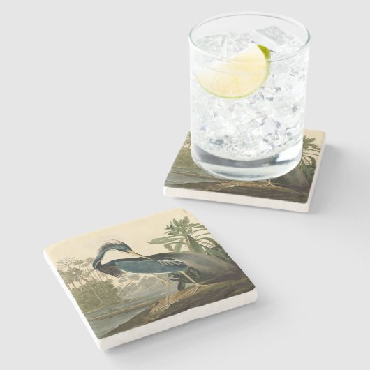 オードボンルイジアナヘロンバーズアメリカアート ストーンコースター (横)