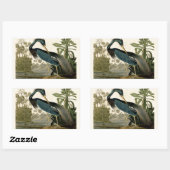 オードボンルイジアナヘロンバーズアメリカアート 長方形シール (シート)