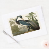 オードボンルイジアナヘロンバーズアメリカアート 長方形シール (封筒)