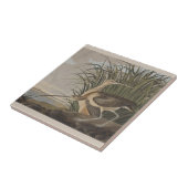 オードボンロングのカレーバード タイル (側面)