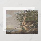 オードボンロングのカレーバード ポストカード (正面/裏面)