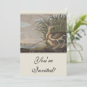 オードボンロングのカレーバード 招待状 (スタンド正面)