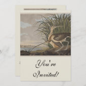 オードボンロングのカレーバード 招待状 (正面/裏面)