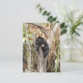 オードボン動物園 ポストカード (スタンド正面)