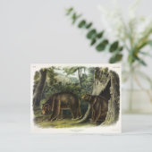 オードボン四肢動物のシナモンベア ポストカード (スタンド正面)