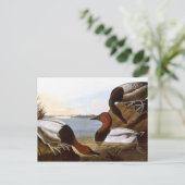 オードボン:カンヴァスバック ポストカード (スタンド正面)