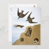 オードボン:スワローズ ポストカード (正面/裏面)