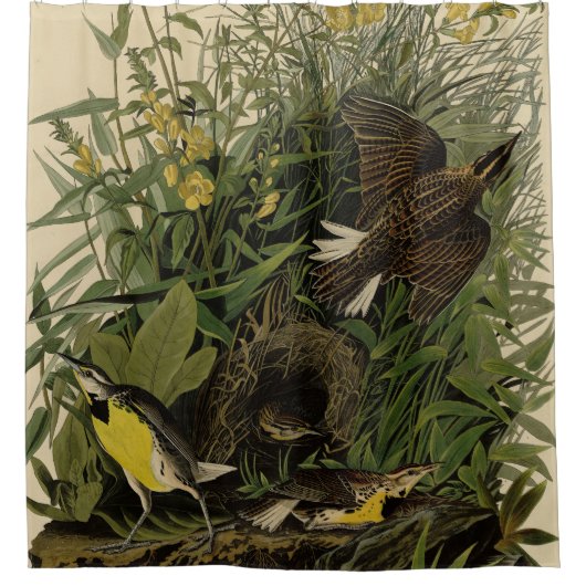 オードボン・バーズオブアメリカの牧草地ヒバリ シャワーカーテン (正面)