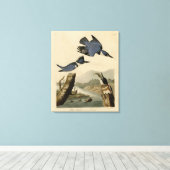 オードボン・バーズ・オブ・アメリカのカワセミ キャンバスプリント (インサイチュ (ウッドフロア))