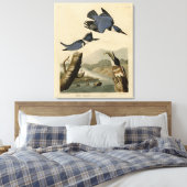 オードボン・バーズ・オブ・アメリカのカワセミ キャンバスプリント (インサイチュ (寝室))