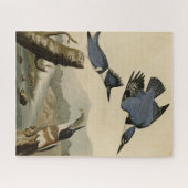 オードボン・バーズ・オブ・アメリカのカワセミ ジグソーパズル (横)