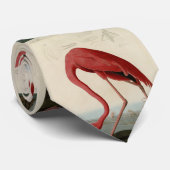 オードボン・バーズ・オブ・アメリカのフラミンゴ ネクタイ (ロール)