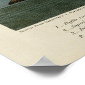 オードボン・バーズ・オブ・アメリカのフラミンゴ ポスター (角)