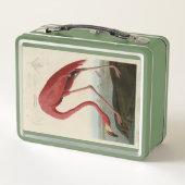 オードボン・バーズ・オブ・アメリカのフラミンゴ メタルランチボックス (裏面)