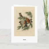 オードボン・バーズ・オブ・アメリカの小さな悲鳴フクロウ カード (裏面)