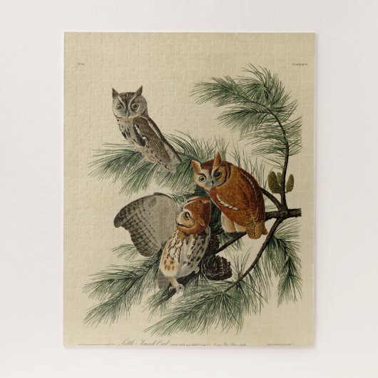 オードボン・バーズ・オブ・アメリカの小さな悲鳴フクロウ ジグソーパズル (縦)