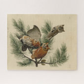 オードボン・バーズ・オブ・アメリカの小さな悲鳴フクロウ ジグソーパズル (横)