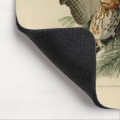 オードボン・バーズ・オブ・アメリカの小さな悲鳴フクロウ マウスパッド (コーナー)