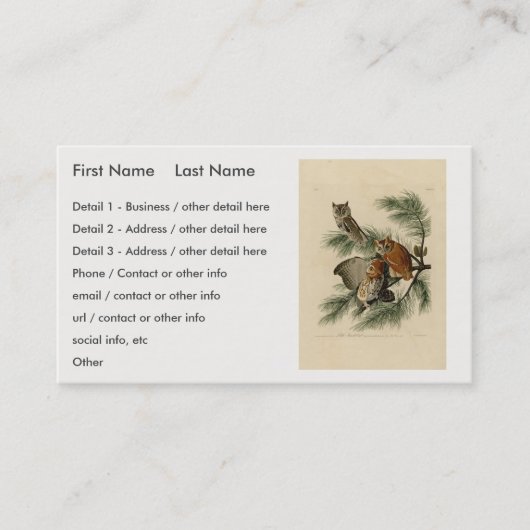 オードボン・バーズ・オブ・アメリカの小さな悲鳴フクロウ 名刺 (正面)