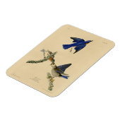 オードボン・バーズ・オブ・アメリカの東部ブルーバード マグネット (左側)