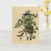 オードボン・バーズ・オブ・アメリカの青いグロズビーク カード (黄色い花)