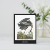 オードボン/ブルー素晴らしヘロン ポストカード (スタンド正面)