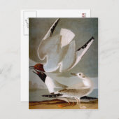 オードボン：ボナパルテズガル ポストカード (正面/裏面)