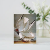 オードボン：ボナパルテズガル ポストカード (スタンド正面)