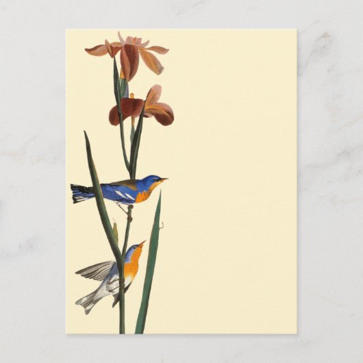 オードボン：ワルブラー ポストカード (正面)