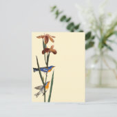 オードボン：ワルブラー ポストカード (スタンド正面)