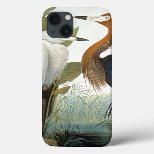 オードボン:赤みを帯びたサギまたは紫のハロン Case-Mate iPhoneケース (裏面)