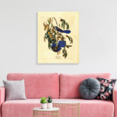 オードボン – Florida Jay キャンバスプリント (インサイチュ (リビング))